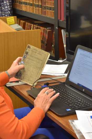 Photo of collections volunteer at a computer