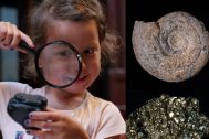 A collage of photos featuring: a child holding a magnifying glass examining a piece of coal; a fossil; and a piece of Fool's Gold
