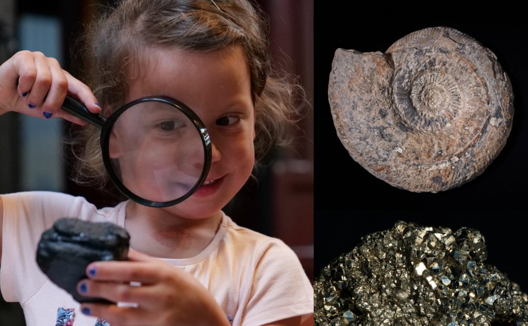 A collage of photos featuring: a child holding a magnifying glass examining a piece of coal; a fossil; and a piece of Fool's Gold